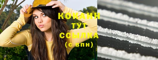 сатива Медногорск