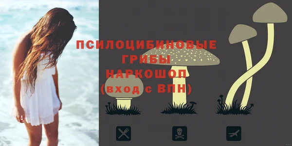 прущие крисы Мегион