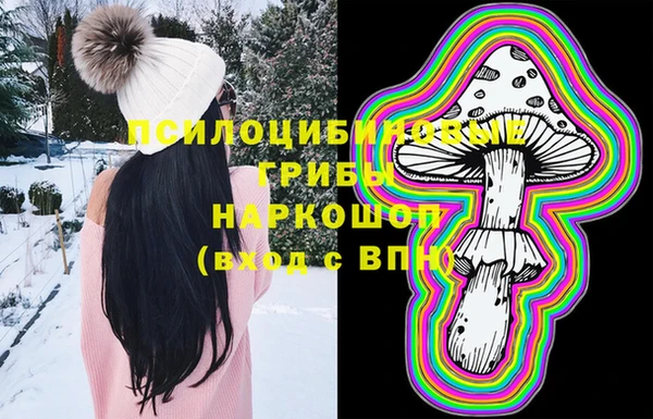 сатива Медногорск