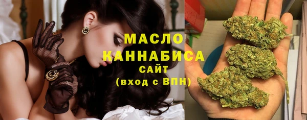 сатива Медногорск