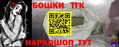 крисы Нальчик