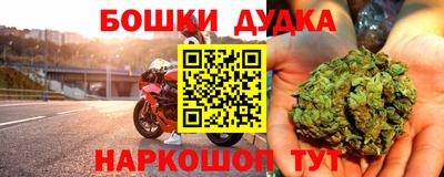 крисы Нальчик