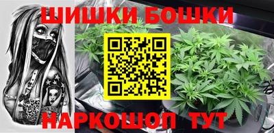 крисы Нальчик
