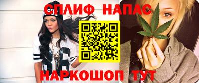 крисы Нальчик