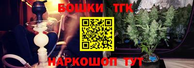 крисы Нальчик