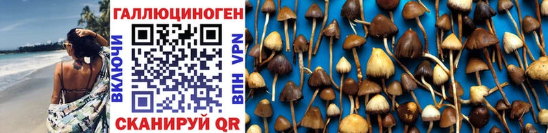 Купить где  Татарск  Псилоцибиновые грибы GOLDEN TEACHER 