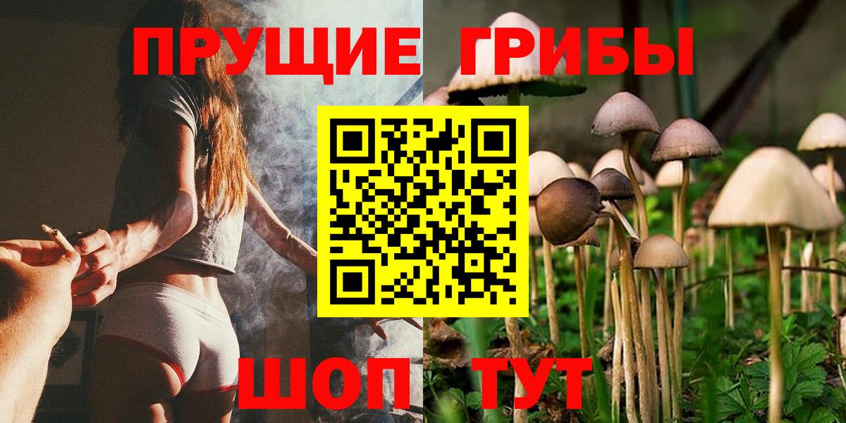 Галлюциногенные грибы GOLDEN TEACHER  Вход с VPN  Татарск 