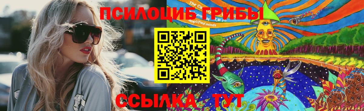 Галлюциногенные грибы Magic Shrooms  Татарск  Псилоцибиновые грибы Magic Shrooms 